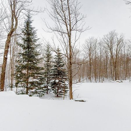 Jay Peak Village Home 367B Bagian luar foto