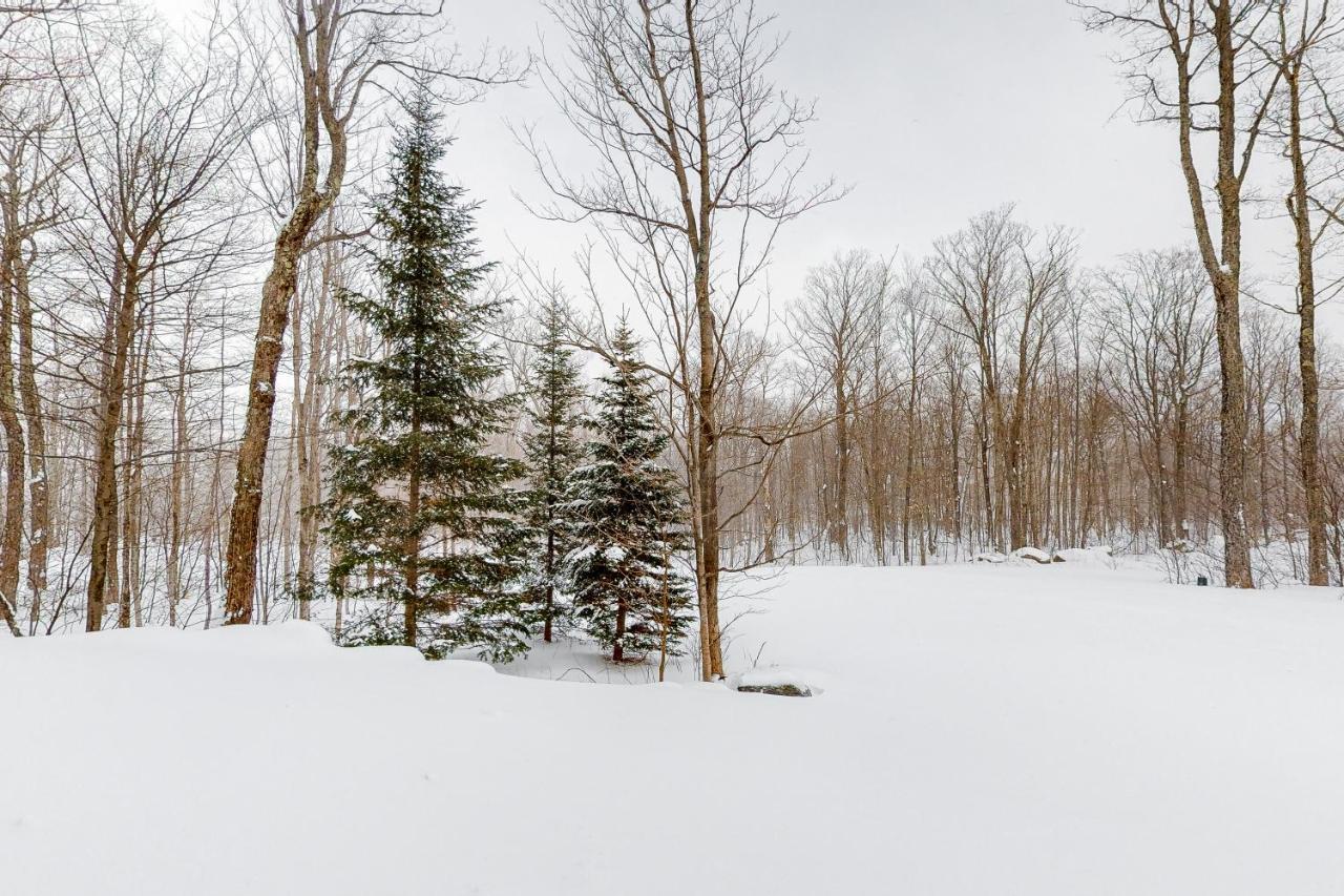 Jay Peak Village Home 367B Bagian luar foto